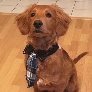 Meet your Posher, Julia